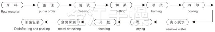 脱水蔬菜带式干燥工艺流程